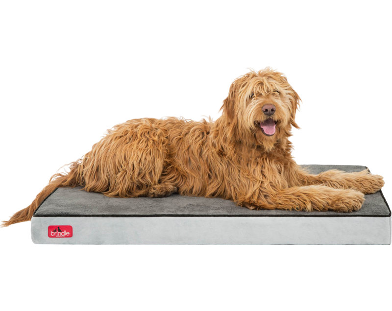 Brindle Orthopedic Memory Foam Dog Bed & Reviews Wayfair